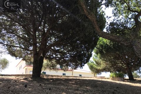 Villa i Santo Onofre e Serra do Bouro, Leiria, Santo Onofre e Serra do Bouro - € 695.000 | Ref: CAS_93 - foto 13