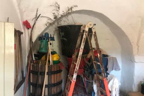 Landejendom i Ostuni, Brindisi, Ostuni - € 180.000 | Ref: 236 - foto 21