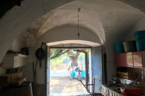 Landejendom i Ostuni, Brindisi, Ostuni - € 180.000 | Ref: 236 - foto 5