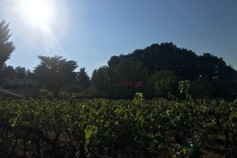 Landejendom i Ostuni, Brindisi, Ostuni - € 180.000 | Ref: 236 - foto 6