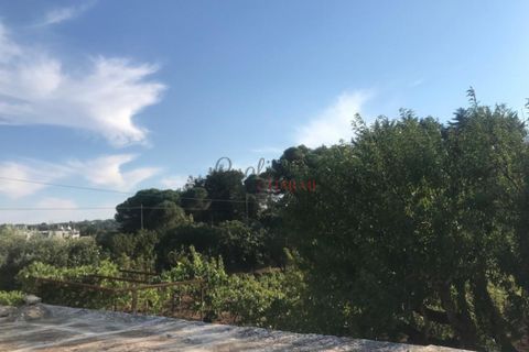 Landejendom i Ostuni, Brindisi, Ostuni - € 180.000 | Ref: 236 - foto 15
