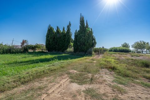Finca i Deltebre, Tarragona, Deltebre - € 54.000 | Ref: 924 - foto 16