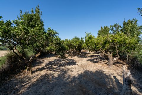 Finca i Deltebre, Tarragona, Deltebre - € 54.000 | Ref: 924 - foto 4