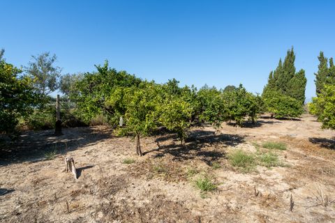 Finca i Deltebre, Tarragona, Deltebre - € 54.000 | Ref: 924 - foto 6