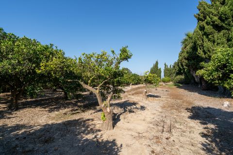 Finca i Deltebre, Tarragona, Deltebre - € 54.000 | Ref: 924 - foto 5