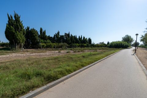 Finca i Deltebre, Tarragona, Deltebre - € 54.000 | Ref: 924 - foto 12