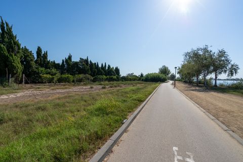 Finca i Deltebre, Tarragona, Deltebre - € 54.000 | Ref: 924 - foto 13
