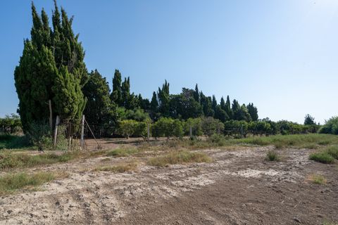 Finca i Deltebre, Tarragona, Deltebre - € 54.000 | Ref: 924 - foto 11