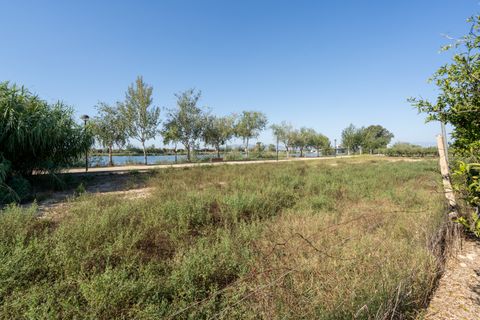 Finca i Deltebre, Tarragona, Deltebre - € 54.000 | Ref: 924 - foto 10