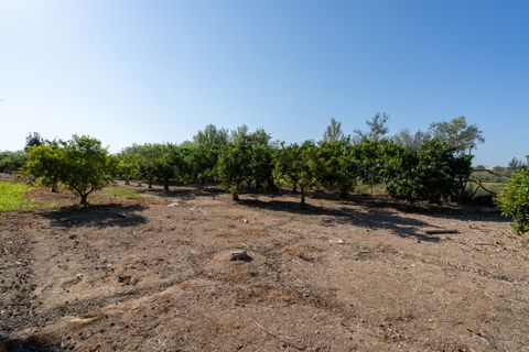 Finca i Deltebre, Tarragona, Deltebre - € 54.000 | Ref: 924 - foto 3