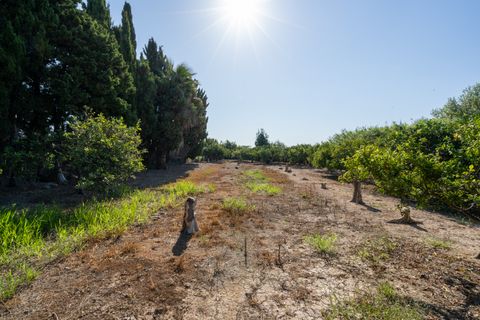 Finca i Deltebre, Tarragona, Deltebre - € 54.000 | Ref: 924 - foto 8