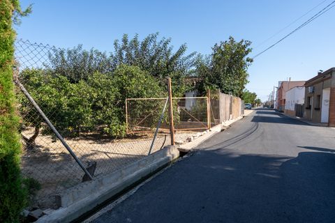 Terra a Deltebre, Tarragona, Deltebre - € 54.000 | Ref: 925 - foto 5