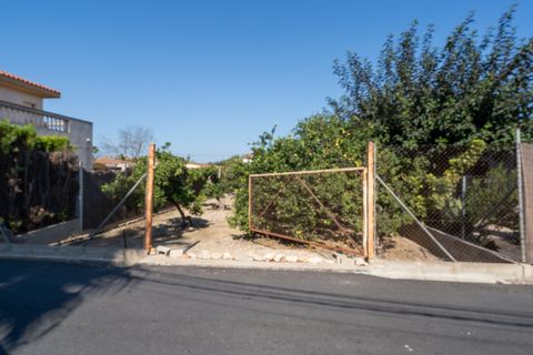 Terra a Deltebre, Tarragona, Deltebre - € 54.000 | Ref: 925 - foto 6