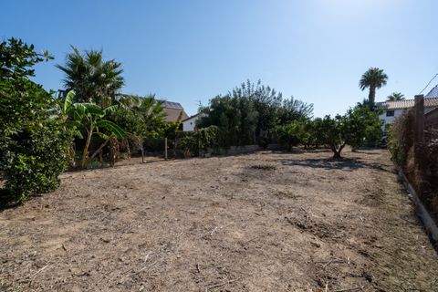 Terra a Deltebre, Tarragona, Deltebre - € 54.000 | Ref: 925 - foto 3