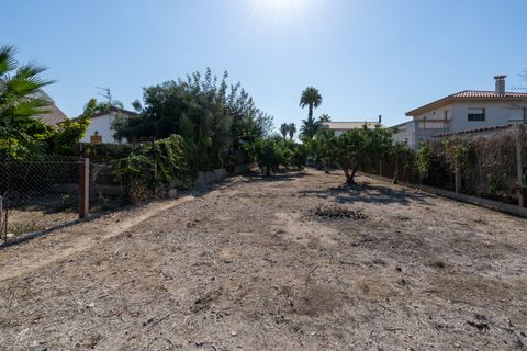 Terra a Deltebre, Tarragona, Deltebre - € 54.000 | Ref: 925 - foto 2