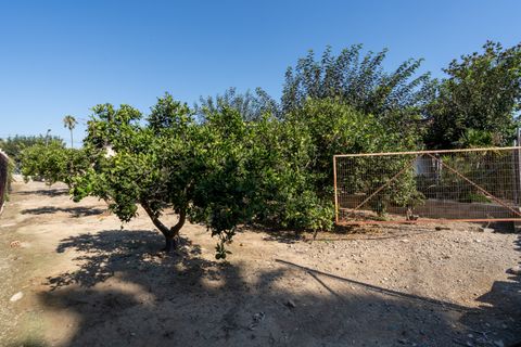 Terra a Deltebre, Tarragona, Deltebre - € 54.000 | Ref: 925 - foto 4