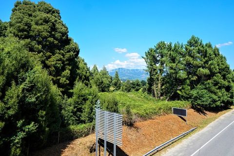 Helårsgrund i Moncao, Viana do Castelo, Moncao - € 1.220.000 | Ref: 3752 - foto 3