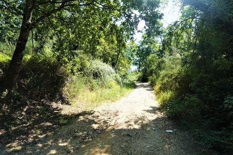 Helårsgrund i Moncao, Viana do Castelo, Moncao - € 1.220.000 | Ref: 3752 - foto 4