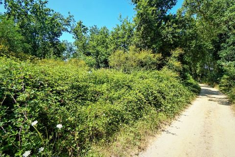 Helårsgrund i Moncao, Viana do Castelo, Moncao - € 1.220.000 | Ref: 3752 - foto 5