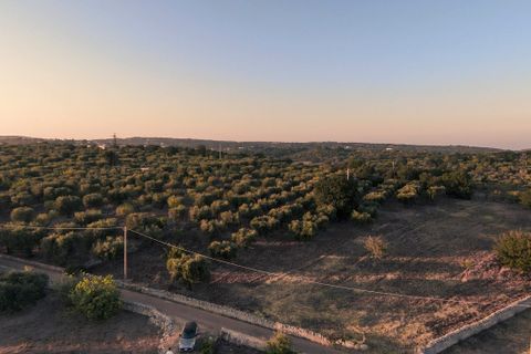 Helårsgrund i Ostuni, Brindisi, Ostuni - € 63.000 | Ref: 649 - foto 2