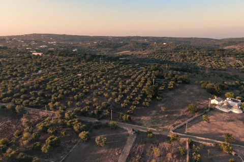 Helårsgrund i Ostuni, Brindisi, Ostuni - € 63.000 | Ref: 649 - foto 4