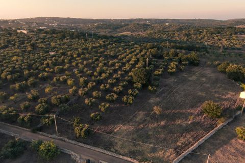 Helårsgrund i Ostuni, Brindisi, Ostuni - € 63.000 | Ref: 649 - foto 5