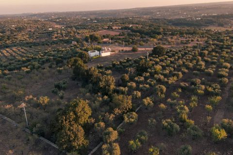 Helårsgrund i Ostuni, Brindisi, Ostuni - € 63.000 | Ref: 649 - foto 6