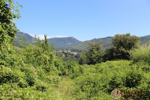 Landejendom i Zeri, Massa and Carrara, Zeri - € 300.000 | Ref: A377 - foto 9