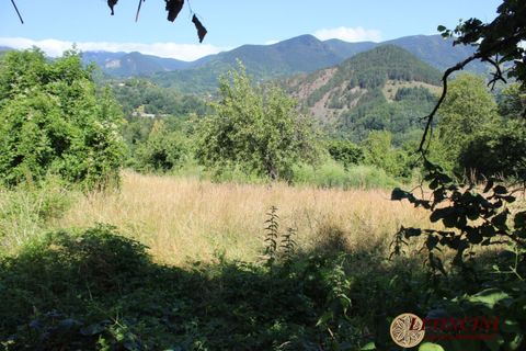 Landejendom i Zeri, Massa and Carrara, Zeri - € 300.000 | Ref: A377 - foto 11