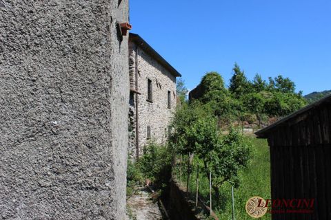 Landejendom i Zeri, Massa and Carrara, Zeri - € 300.000 | Ref: A377 - foto 19