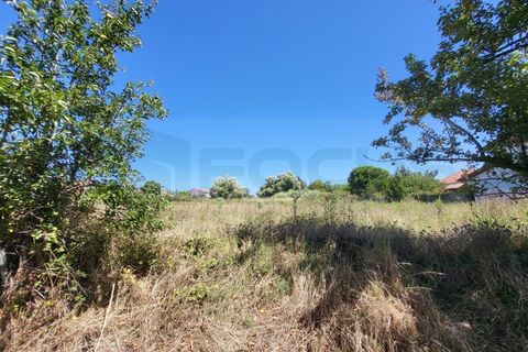 Helårsgrund i Aveiro, Aveiro, Aveiro - € 90.000 | Ref: AV23/158/01 - foto 3
