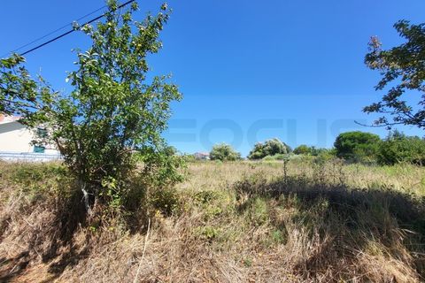 Helårsgrund i Aveiro, Aveiro, Aveiro - € 90.000 | Ref: AV23/158/01 - foto 4