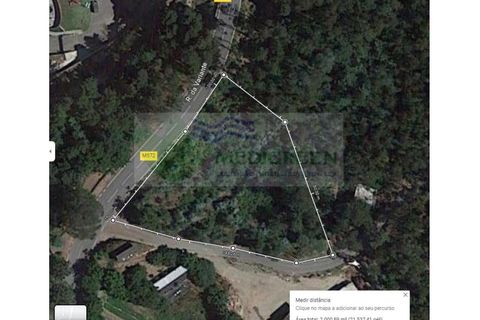 Helårsgrund i Sever do Vouga, Aveiro, Sever do Vouga - € 19.500 | Ref: TER_1613 - foto 2