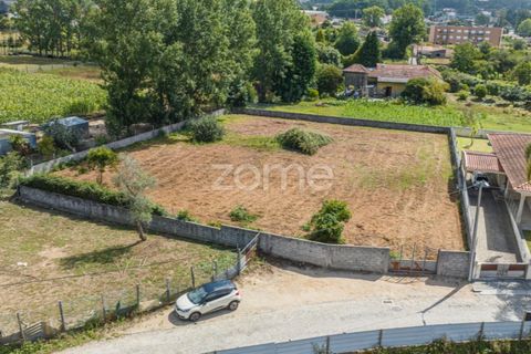 Terra a Grijo, Porto, Grijo - € 79.000 | Ref: ZMPT560089 - foto 2