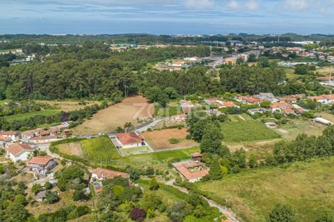 Terra a Grijo, Porto, Grijo - € 79.000 | Ref: ZMPT560089 - foto 5