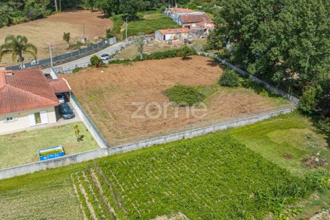 Terra a Grijo, Porto, Grijo - € 79.000 | Ref: ZMPT560089 - foto 6