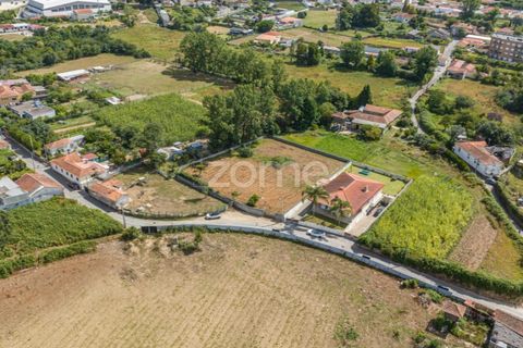 Terra a Grijo, Porto, Grijo - € 79.000 | Ref: ZMPT560089 - foto 9