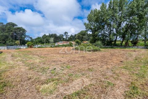 Terra a Grijo, Porto, Grijo - € 79.000 | Ref: ZMPT560089 - foto 14