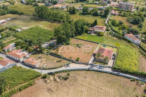 Terra a Grijo, Porto, Grijo - € 79.000 | Ref: ZMPT560089 - foto 3