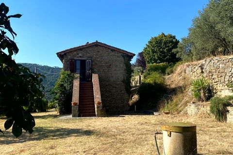 Villa i Cortona, Arezzo, Cortona - € 495.000 | Ref: v58202-x - foto 30