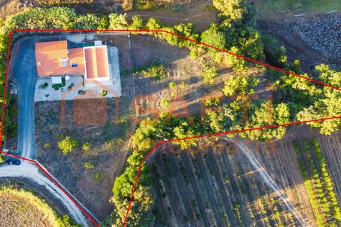Villa i Alcobaca, Leiria, Alcobaca - € 650.000 | Ref: SAFTI:003771 - foto 9