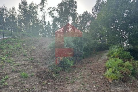 Farm i Vila Verde, Braga, Vila Verde - € 171.000 | Ref: 08130 - foto 3