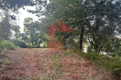 Farm i Vila Verde, Braga, Vila Verde - € 171.000 | Ref: 08130 - foto 5