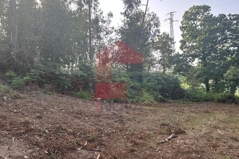 Farm i Vila Verde, Braga, Vila Verde - € 171.000 | Ref: 08130 - foto 6