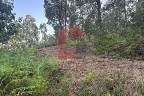 Farm i Vila Verde, Braga, Vila Verde - € 171.000 | Ref: 08130 - foto 7