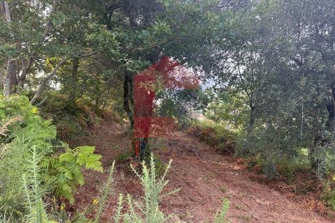 Farm i Vila Verde, Braga, Vila Verde - € 171.000 | Ref: 08130 - foto 9