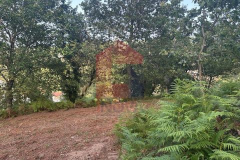 Farm i Vila Verde, Braga, Vila Verde - € 171.000 | Ref: 08130 - foto 10