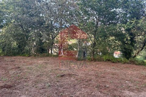 Farm i Vila Verde, Braga, Vila Verde - € 171.000 | Ref: 08130 - foto 11