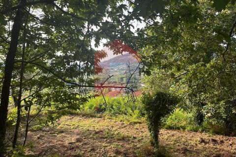 Farm i Vila Verde, Braga, Vila Verde - € 171.000 | Ref: 08130 - foto 12