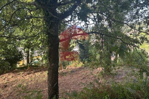 Farm i Vila Verde, Braga, Vila Verde - € 171.000 | Ref: 08130 - foto 13